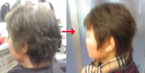 この写真のようなパーフェクトカラーをしていた97%の美容室は進化したシステム:マレーア・レナータカラーへ転換しています。なおこの施術に用いたミコノスは既に廃盤になりました。